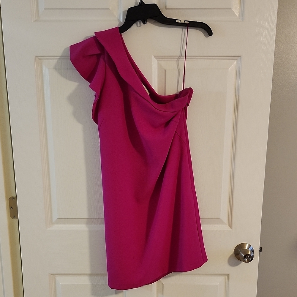 Greylin Fuchsia One-Shoulder Dress